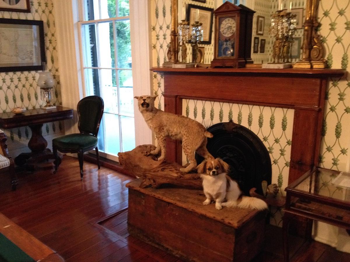 Stone House Musical B&B Natchez Dış mekan fotoğraf